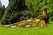 English: The island of Mainau. Flowers arranged as a peacock. Deutsch: Blumenkunst auf Mainau. Pfau aus Blumen.