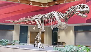 <i>Majungasaurus</i> Abelisaurid theropod dinosaur from the Late Cretaceous period