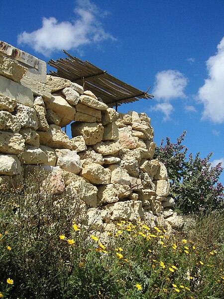 File:March 2007 Coast on Gozo 19.jpg