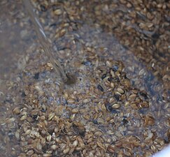 Barley grains being mashed (heated with water) for brewing beer