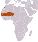 Mauritanian Shrew area.png