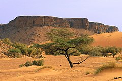 Mauritanie - Adrar2.jpg