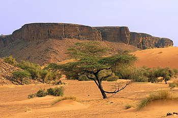 Mountains in the Adrar region; desert scenes continue to define the Mauritanian landscape since classical times Mauritanie - Adrar2.jpg