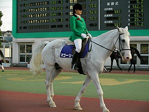 競走馬: 概要, 競走馬として用いられる馬の品種, 競走馬の生産・育成の過程