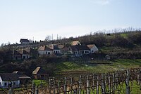 Wijngaarden en kelderrij met wijnhuisjes in Mecseknádasd, Hongarije