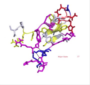 Conformational ensembles