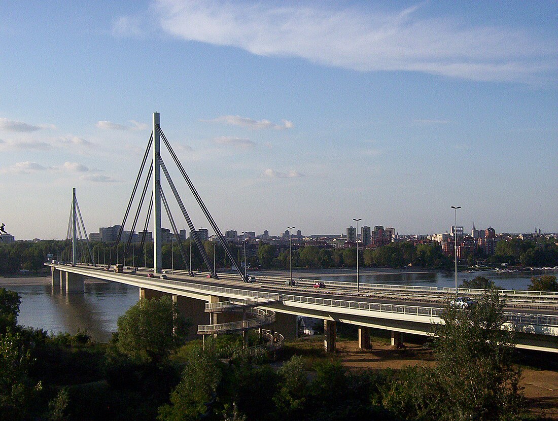 Freiheitsbrücke (Novi Sad)