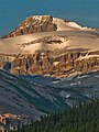 Mt. Olive from the Icefields Parkway.jpg