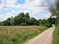 Ackerfläche und Feldgehölz am Ostrand