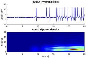 Neural Oscillation