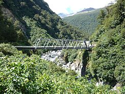 New Zealand west of haast pass.jpg