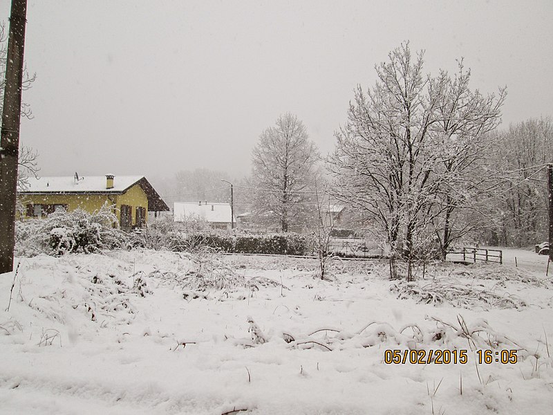 File:Nevicata al Torchio Fraz di Grignasco. NO - panoramio.jpg