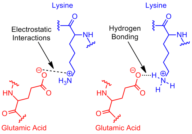 Weak interaction - Wikipedia