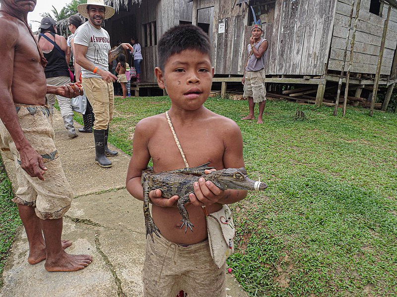 File:Niño indígena del Amazonas.jpg