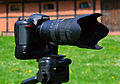 Nikon D7100 & AF-S Nikkor 70-200mm 1-2,8G ED VR II 02.jpg