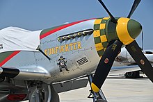 Nose of P-51 Gunfighter