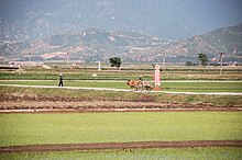 North Korea-Anbyon County-Chonsam Cooperative Farm-01.jpg