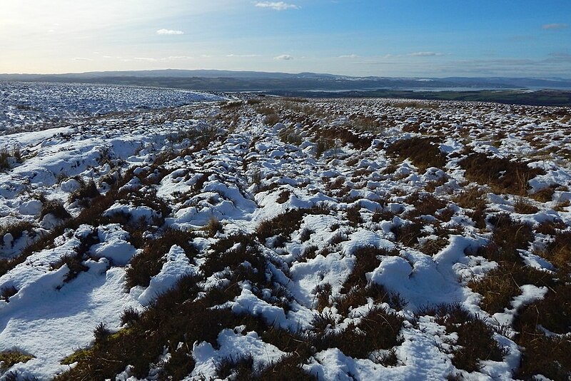 File:Old braided track - geograph.org.uk - 4845540.jpg