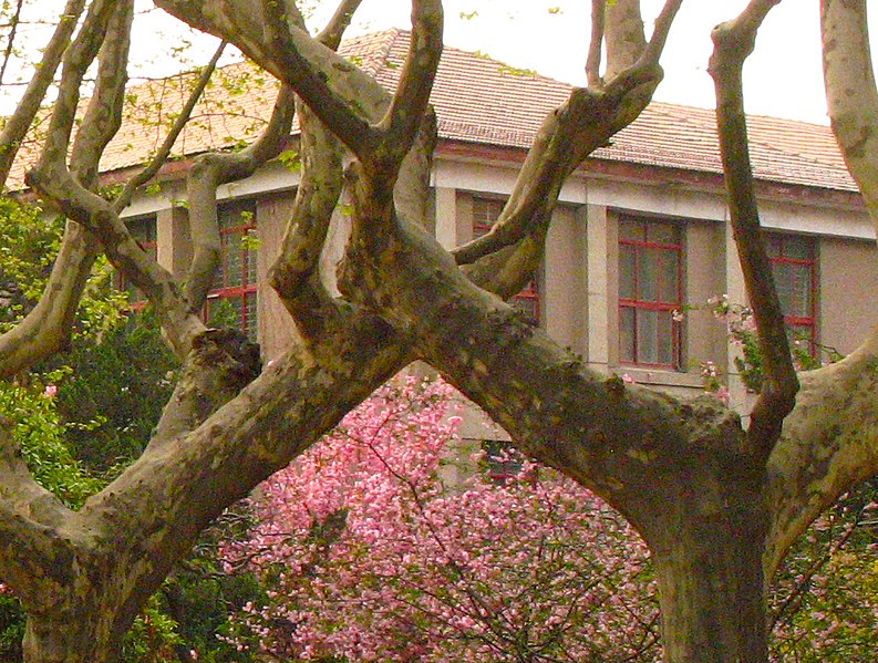 File:Old buildings xjtu detail.jpg