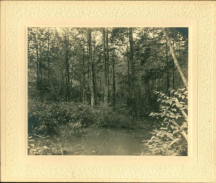 File:Older or Otter Pond 1899.jpg