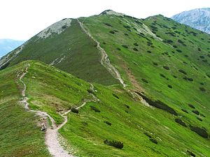 Summit in the foreground