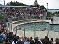 Parc Aquarium Du Quebec