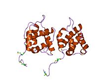 Матрица белка. Матричный белок вируса. Матричный белок 1. Antigenic structure of the equine Infectious anemia virus. Structure of the equine Infectious anemia virus.