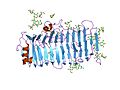 Thumbnail for Glycoside hydrolase family 28