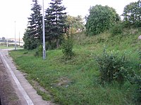 PKP przystanek kolejowy Borkowo 01.jpg