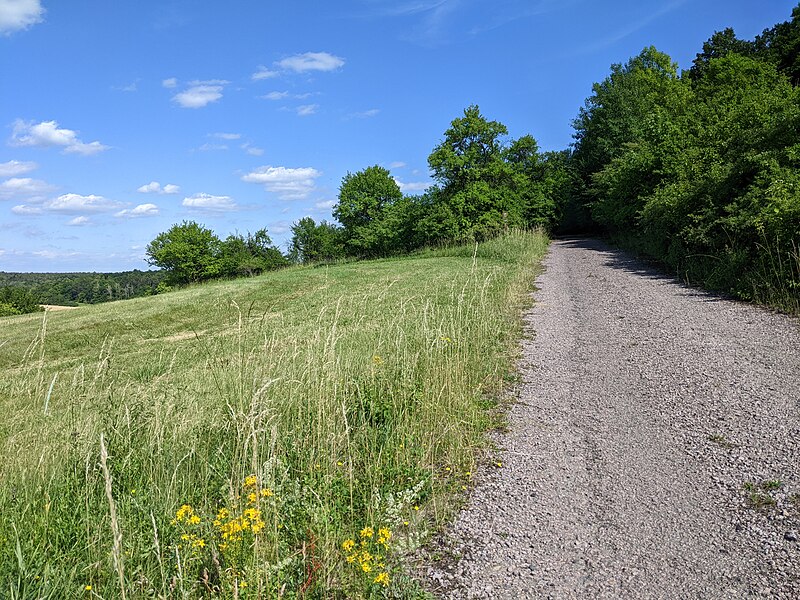 File:PP Kozí hůra (červen 2022) - malá část chú jižně od dálnice D11, u ekoduktu Žehuň severovýchodně od návrší Stráň (1).jpg