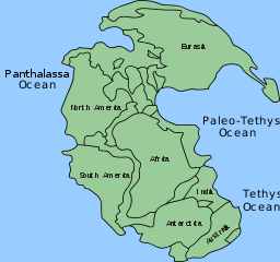 https://upload.wikimedia.org/wikipedia/commons/thumb/b/b4/Pangea_continents_and_oceans.svg/256px-Pangea_continents_and_oceans.svg.png