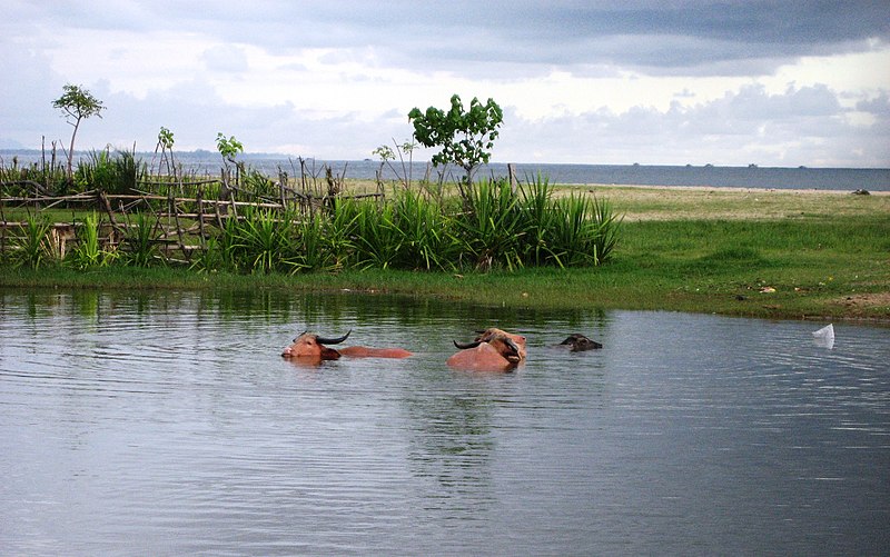 File:Pantai Blang Pidie - panoramio - hotmahtg.jpg