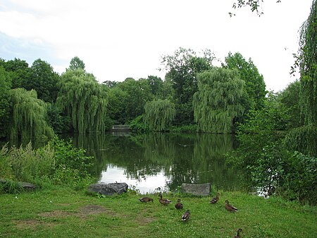 Park Schönfeld Teich