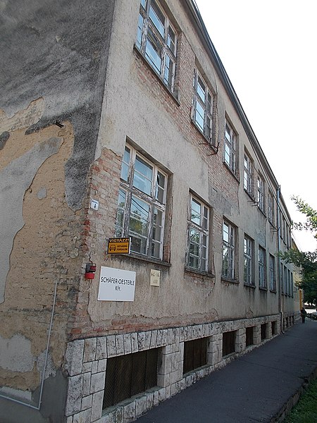 File:Petermann, and Glaser Shoe Factory, Dózsa Street, 2016 Bonyhad.jpg