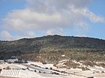 Pfaffstättner Kogel