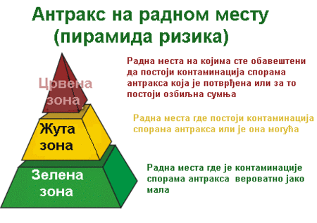 Piramida antraksa.GIF