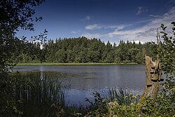 Přírodní rezervace Pláničský rybník - Velký Kozí rybník