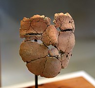 以人类头骨为模型的石膏脸。来自安加扎勒。公元前6500年。