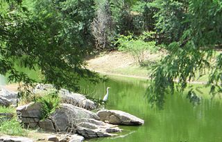 <span class="mw-page-title-main">Seridó River</span> River in Brazil