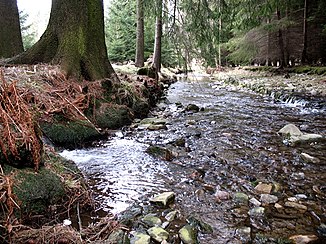 Pöhlwasser między Ehrenzipfel i Rittersgrün