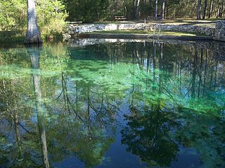 <span class="mw-page-title-main">Ponce de Leon Springs State Park</span> Florida State Park in Holmes County