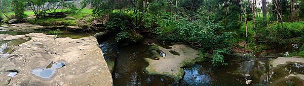 The Ponds Creek, Dundas