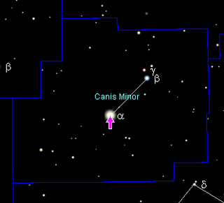 Procyon star in the constellation Canis Minor