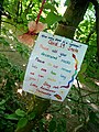 Poster advertising a pebble snake in Bexley Woods, Bexley.