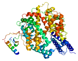 Image illustrative de l’article Enzyme de conversion de l'angiotensine 2