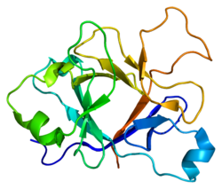 Ақуыз IL1F5 PDB 1md6.png