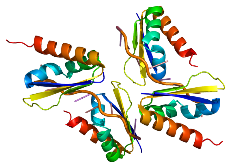 File:Protein PCBP2 PDB 1ztg.png