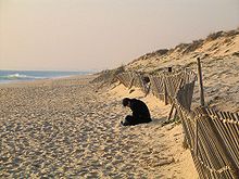 Start of the dune belt by the sand cliff Quinta do Lago beach 1.jpg