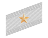 Insigne de grade de colonel supérieur de l'Alpini.svg