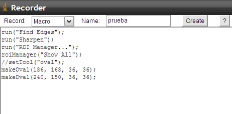 Archivo:Recorder en funcionamiento en ImageJ.tif